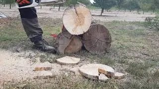 Stihl ms231 chainsaw
