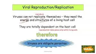 L.C. Biology Viruses
