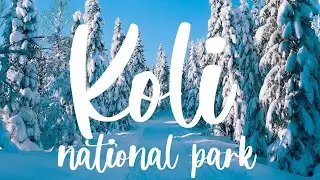 KOLI NATIONAL PARK - Cinematic travel video / landscape and forest b-roll