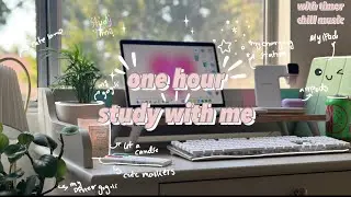 1 hour realtime study with me, lofi chill music