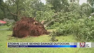 Stroms Leave Behind Damage in Limestone County | August 10, 2023 | News 19 at 4 p.m.