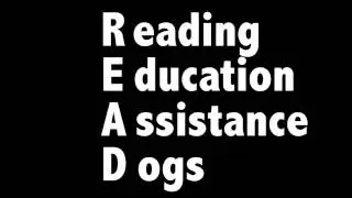 Dog Poetry