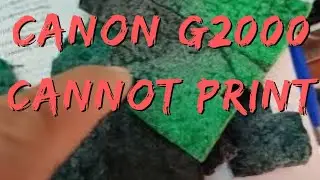 Canon Pixma G2000 can't print copy or scan error code 5200 or 5B00 light blinking  try reset