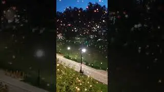 Добрый вечер! 