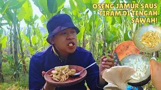 Stir-fried mushrooms with oyster sauce in the middle of a rice field! The savory flavor is amazin...