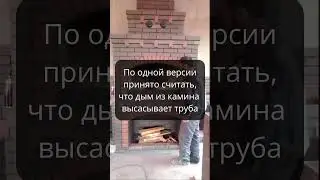 Две версии о работе камина Какая правильная#shorts