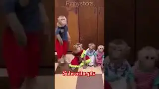 Eid dy kapry pawagy🤣 #shortfeed #funny #viral #shorts