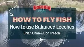 FLY FISHING: HOW TO USE BALANCED LEECHES - BRIAN CHAN & DON FRESCHI