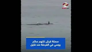 فيديو السائح الروسي الذي التهمه القرش الغردقة 😭😭😭😭