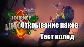 Hearthstone Ун'Горо паки тест