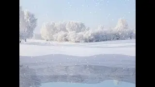 Blender.  Практика по анимации.  Замерзающий пруд.