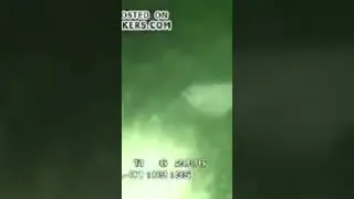 ЗАСНЯЛИ НАСТОЯЩЕГО РЕЙКА! #shorts
