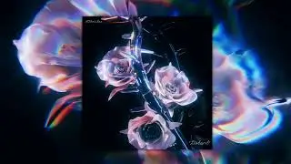 (FREE) 