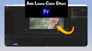How to Add Leave Color Effect on Premiere Pro [NEW]