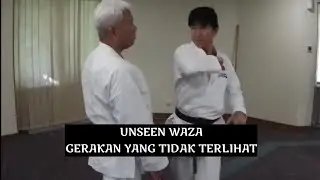 Gerakan yang tidak terlihat⁉️Mienai waza | unseen waza by Naka Tatsuya Sensei | Bali 2023