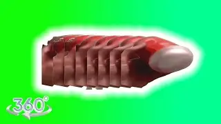 🥤 COCA COLA ESPUMA VR meme 🥤