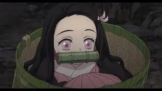 Nezuko worth it