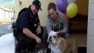 Dog returned to owner after two years