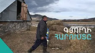 Կով պահելը խելքի հարց ա. Վիգենի դրախտը