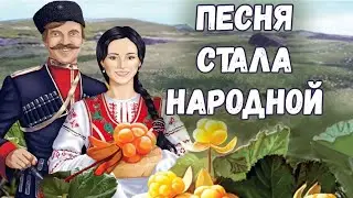 ПЕСНЯ СТАЛА НАРОДНОЙ. Морошка