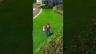 GTA V: BABY AND SPIDERMAN SAVING HIS COW  😱 | 