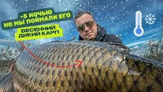 КАРПФИШИНГ на ДИКАРЕ! Нашли СУПЕР МЕСТО и ПОЙМАЛИ там КАРПА | Проверили кораблик на точность!