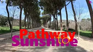 Pathway of Sunshine