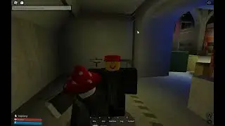 mushroomincident2