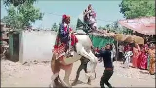 લતીફ ઉસ્તાદ93162 04105