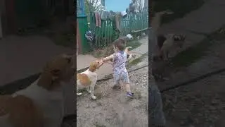 Артёмка, собачка и котики)✅ #Shorts