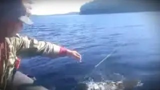 Ловля окуня на Балансир, летом
