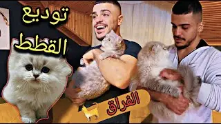 ابشع فيديو يوم توديع القطط...؟ ما اخدناهم معنا !🥺