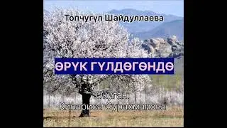 ТОПЧУГҮЛ ШАЙДУЛЛАЕВАнын "ӨРҮК ГҮЛДӨГӨНДӨ" эссеси