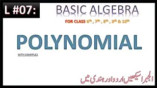 Polynomial
