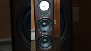 Sonetto G2 from Sonus Faber Speaker Review #hifi #audiophile #stereosystem