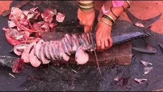 Free SURMAI FISH at Devgad Fish Market