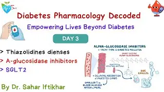 Day 3 Diabetes crash course by Dr sahar Medsparkles