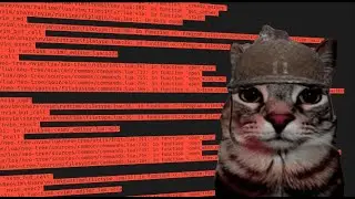 pov you are trying to configure neovim