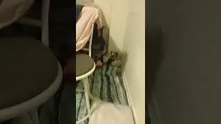 building a house
