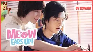 ENG SUB MULTI [Clip] The World's Biggest Scare: Almost Losing My Human Stray Cat | Meow Ears