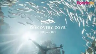 Discovery Cove Orlando Florida