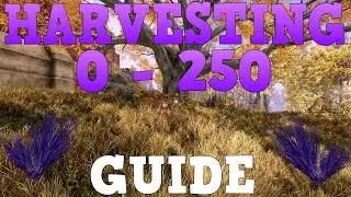 New World Harvesting Guide 2023 0 to 250 FAST