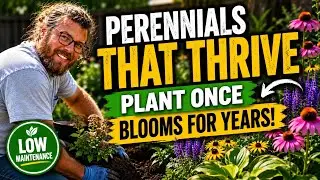 Creating a Breathtaking Perennial Garden: Step-by-Step Guide | DIY