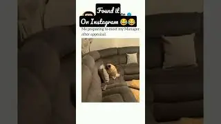 Found it On Instagram 😂😂