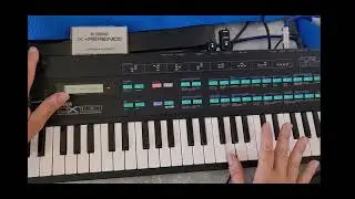 The 1986 Yamaha DX100: A Toy or a Treasure?