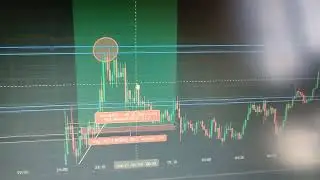 My trades after BTC halving Part 5