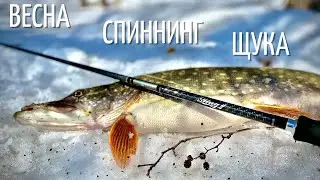 Щука Спиннинг Весна 2021. Поклевки в кадре. На что берет щука весной после схода льда.