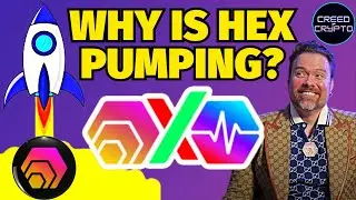HEX is Taking the Crypto World by Storm...Why? Creed of Crypto Ep 123