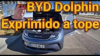 Flipando BYD Dolphin Ultimo Dia