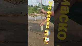 8 июня 2023 г.